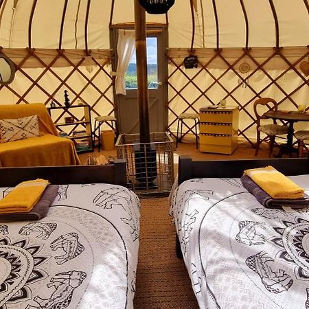 Bronfelen Yurt Hotel Cynghordy Ngoại thất bức ảnh