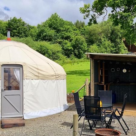 Bronfelen Yurt Hotel Cynghordy Ngoại thất bức ảnh