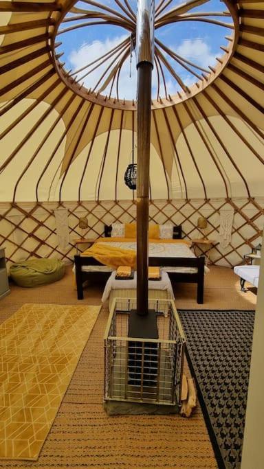 Bronfelen Yurt Hotel Cynghordy Ngoại thất bức ảnh