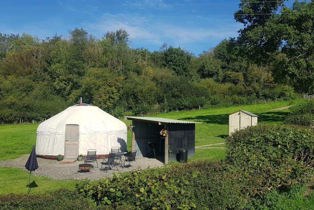 Bronfelen Yurt Hotel Cynghordy Ngoại thất bức ảnh