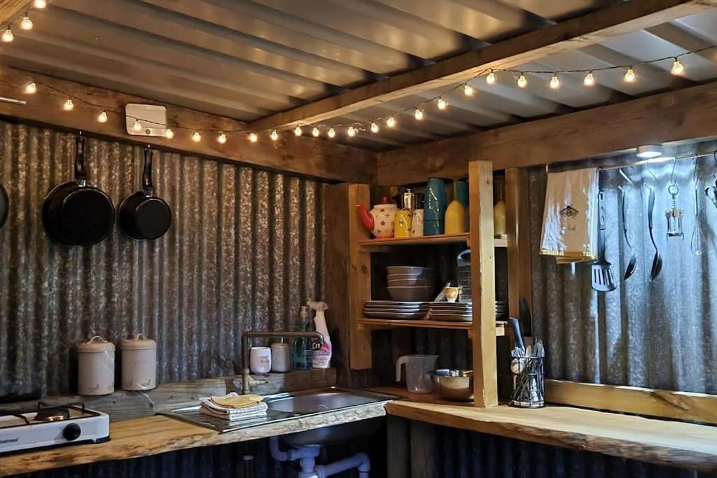 Bronfelen Yurt Hotel Cynghordy Ngoại thất bức ảnh