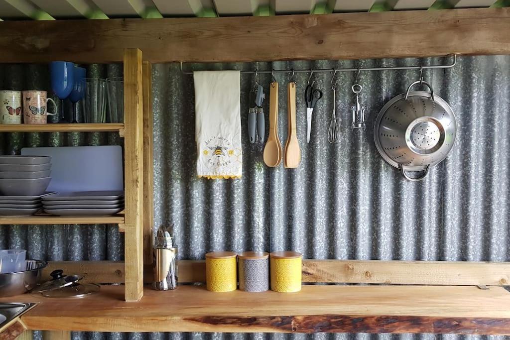 Bronfelen Yurt Hotel Cynghordy Ngoại thất bức ảnh
