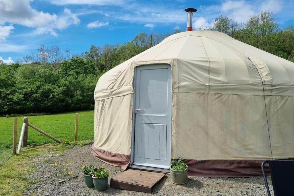 Bronfelen Yurt Hotel Cynghordy Ngoại thất bức ảnh