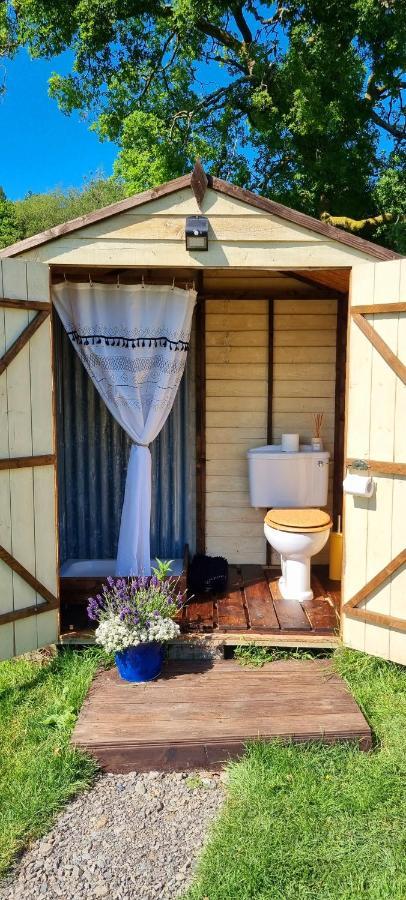 Bronfelen Yurt Hotel Cynghordy Ngoại thất bức ảnh